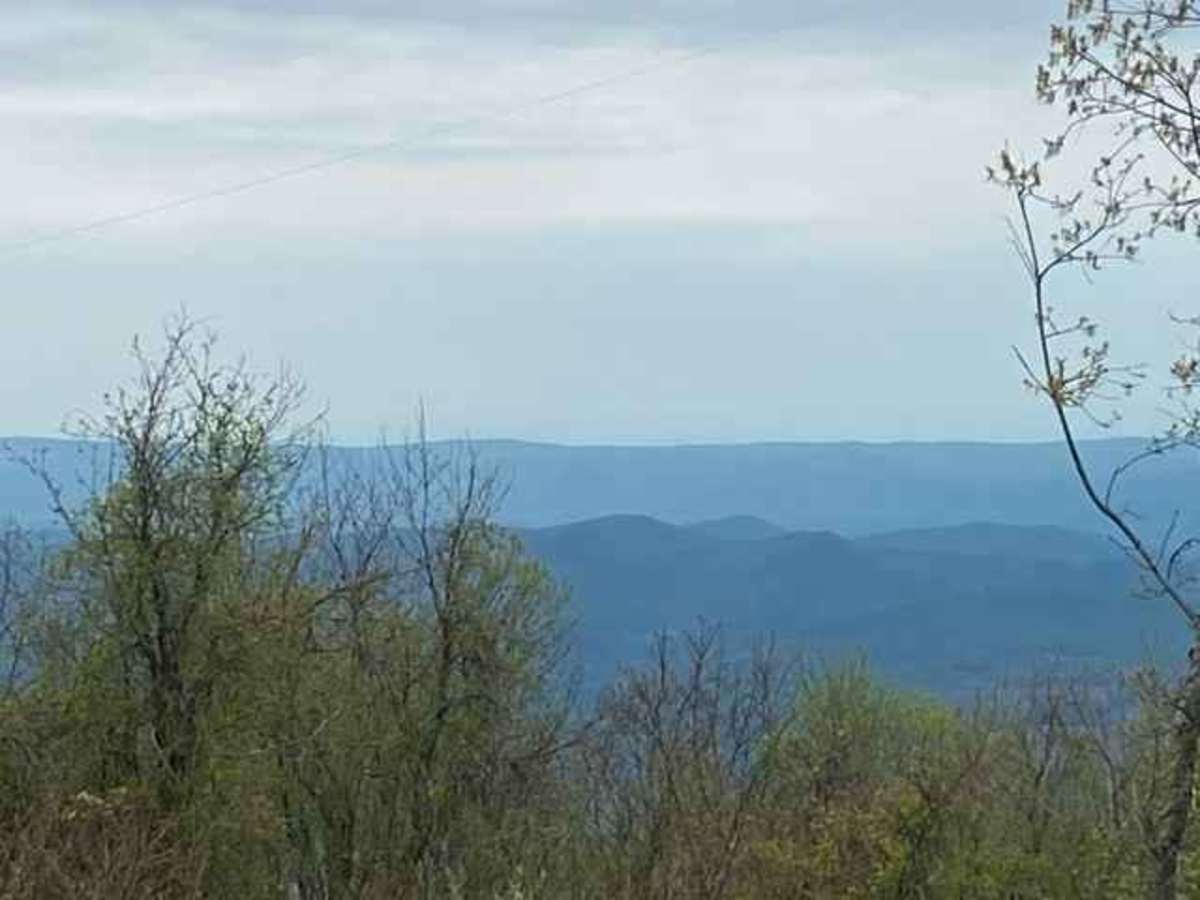 FR126 Waucheesi Bald photo 3