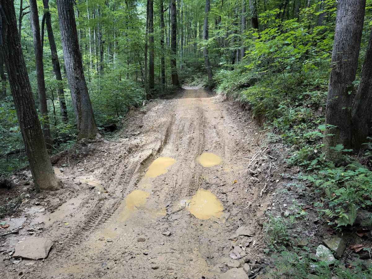 Meadow Branch Trail photo 5