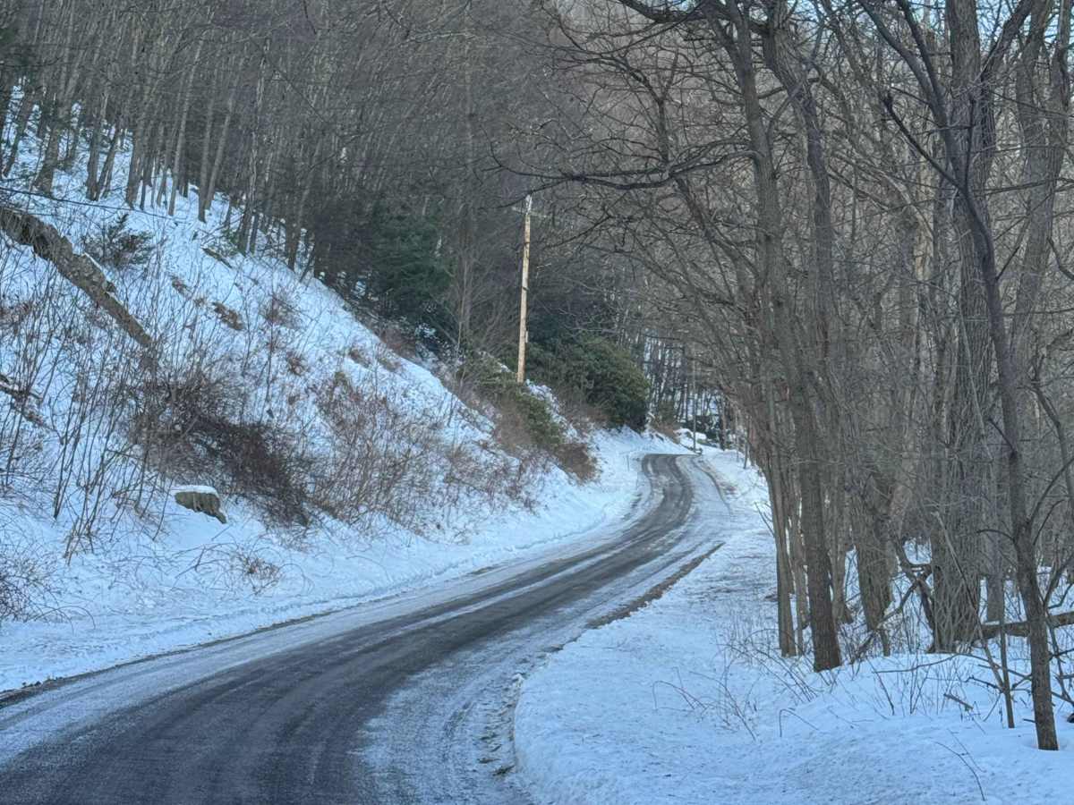 White Deer Pike photo 3