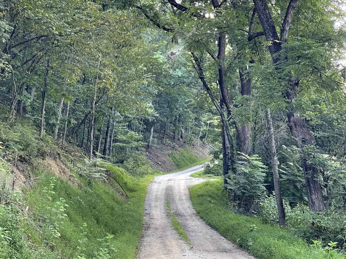 Maggie Maw Lane trail photo