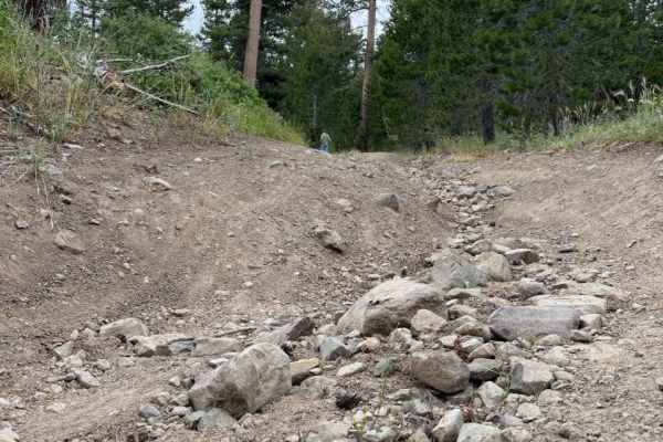Lower Charity Spur A - FS 31206A