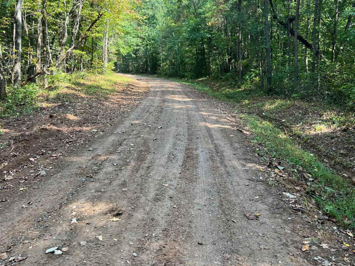 Shaw Branch Road photo 4