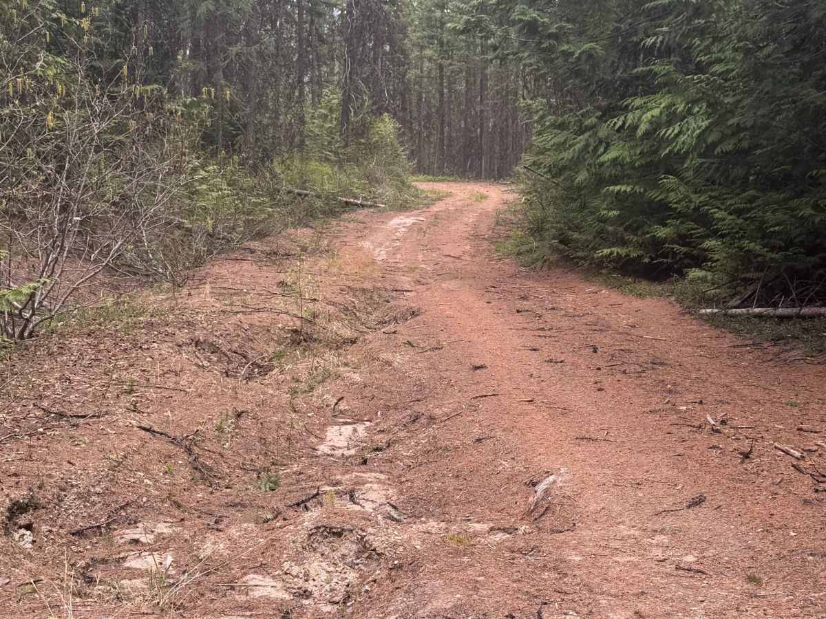 Upper Lane Creek - FS 2000-280 photo 3