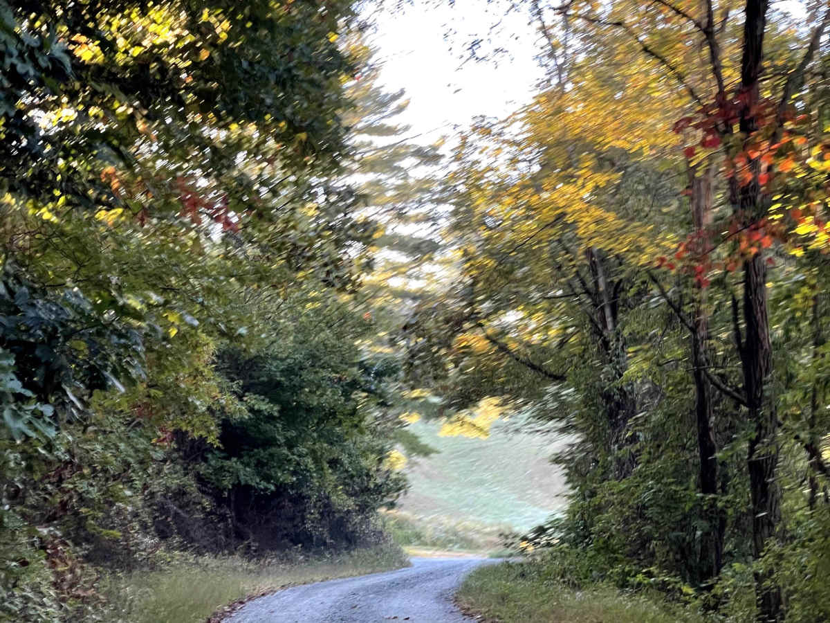 Rominger Road photo 2