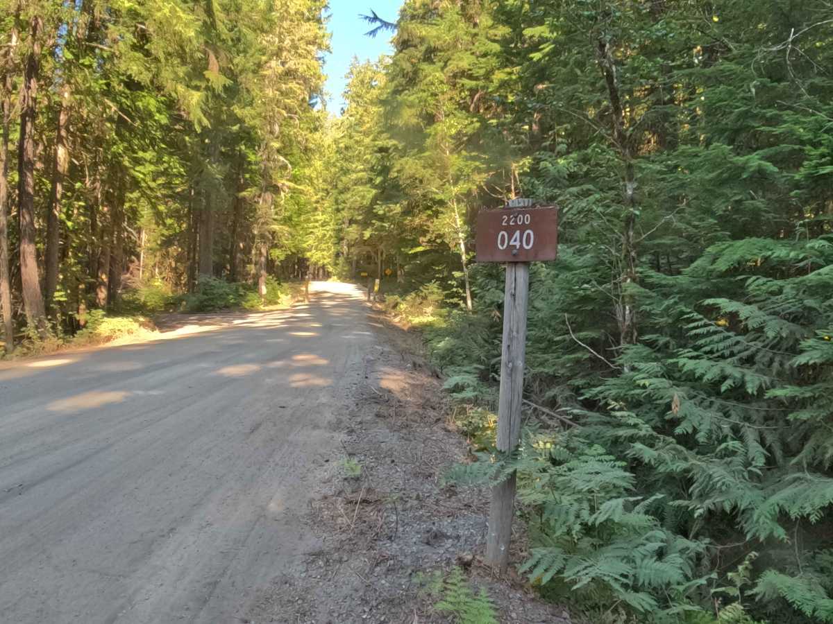 Woodpecker Ridge Rd - FS 2200040 photo 2