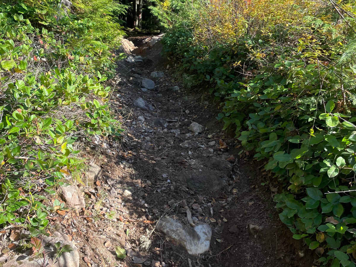 Climb and Connect photo 6
