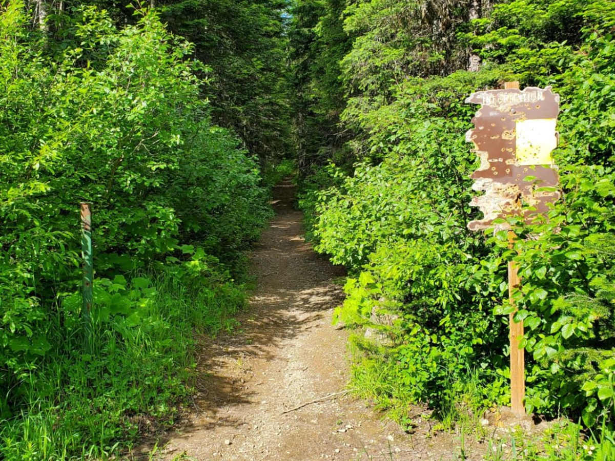 Peter's Ridge Road trail photo
