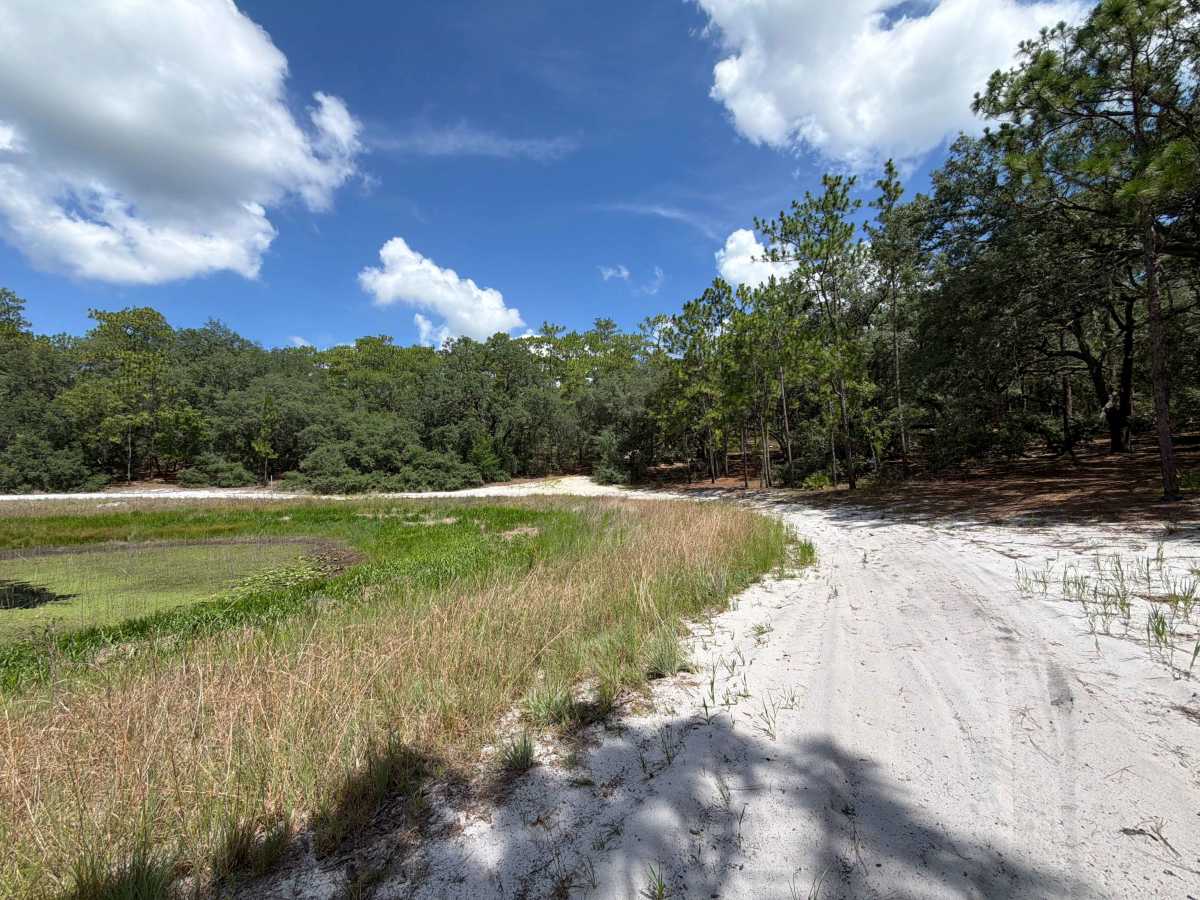 Two Pond Loop trail photo