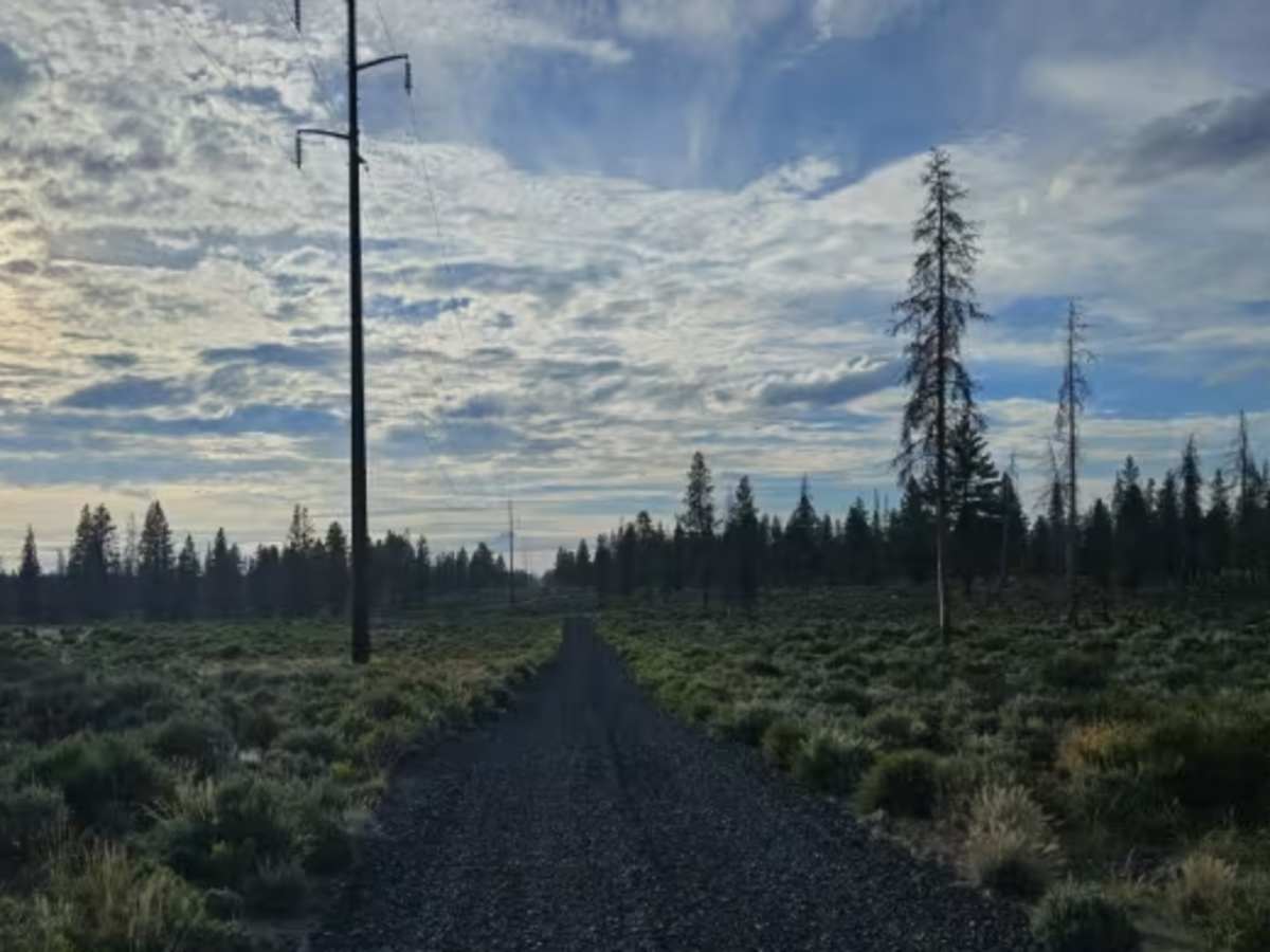 FS 3125017 photo 6