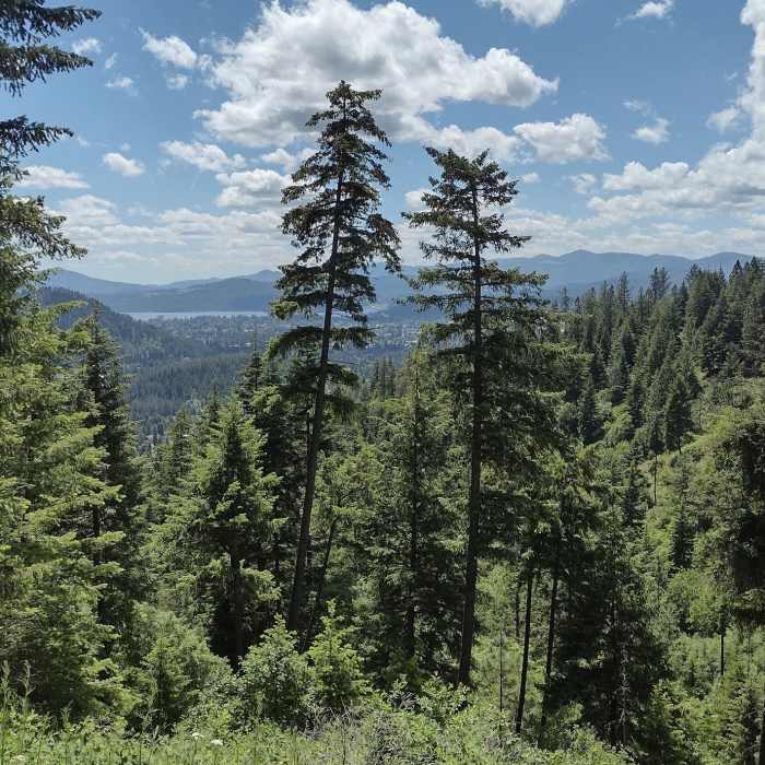 Near Canfield Mountain Loop