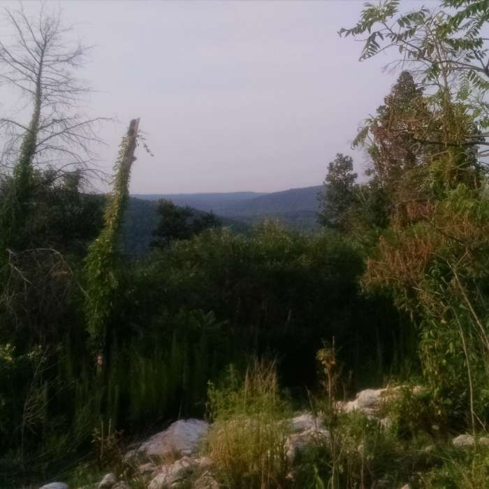 Near Uwharrie Trail Extension