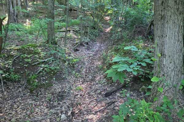 Single Track C1