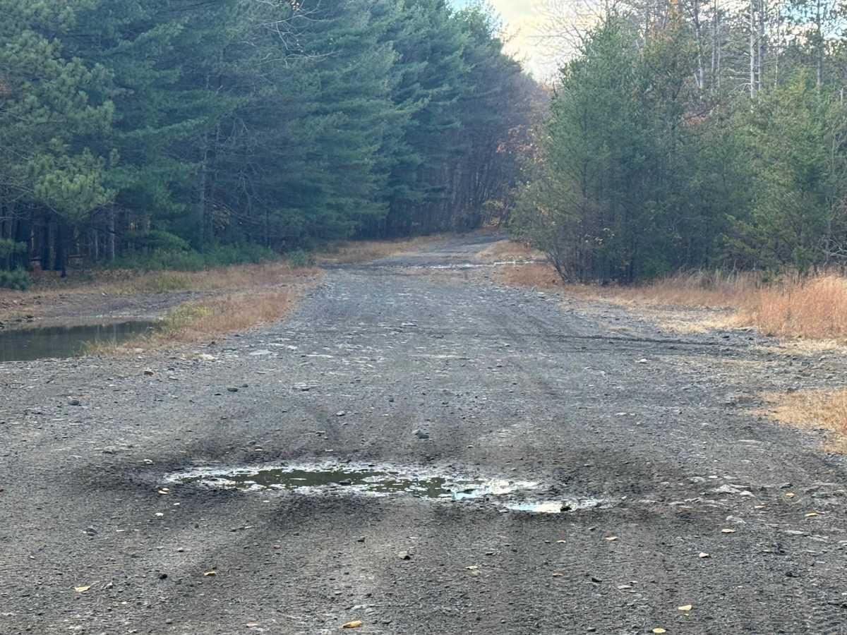 Trail 132 photo 2