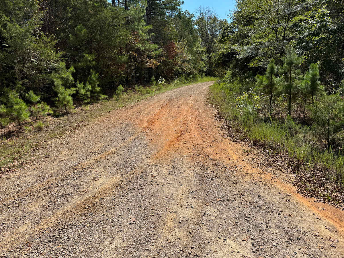 Long Branch trail photo