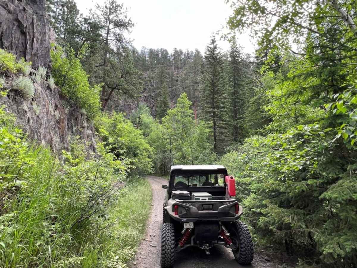 China Gulch - FSR #249 trail photo