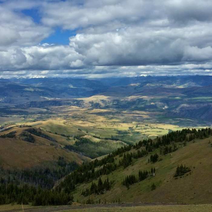 Looking Northeast from the top of Mt Washburn. Near Mount Washburn