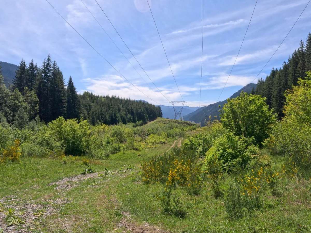 Booger's loop photo 5