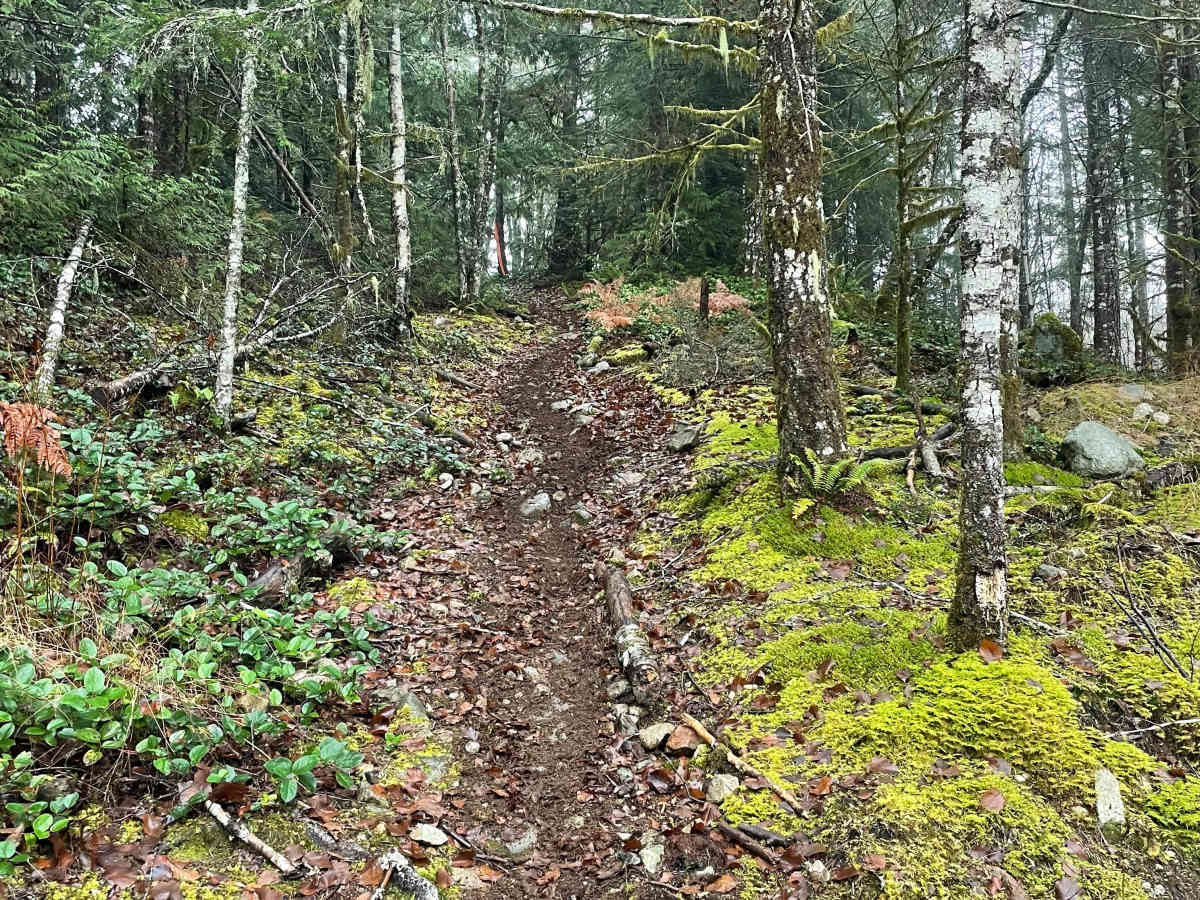 Final Stretch Hill photo 2