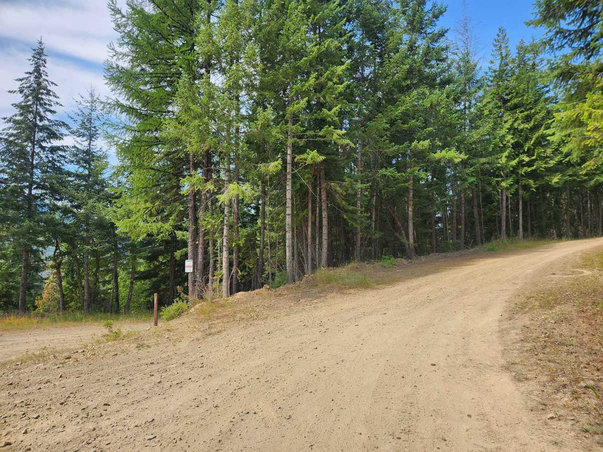 Oregon Toboggan Road photo 4