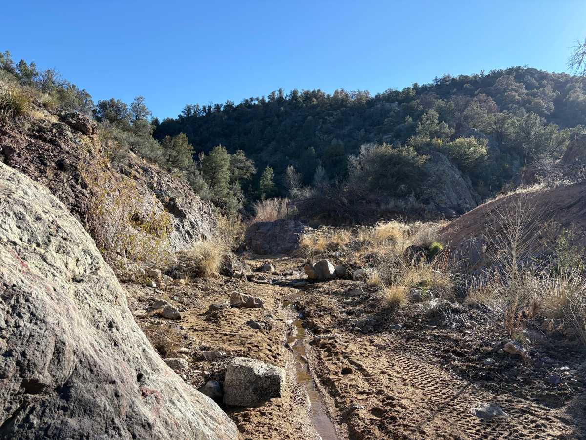 Big Bear photo 5