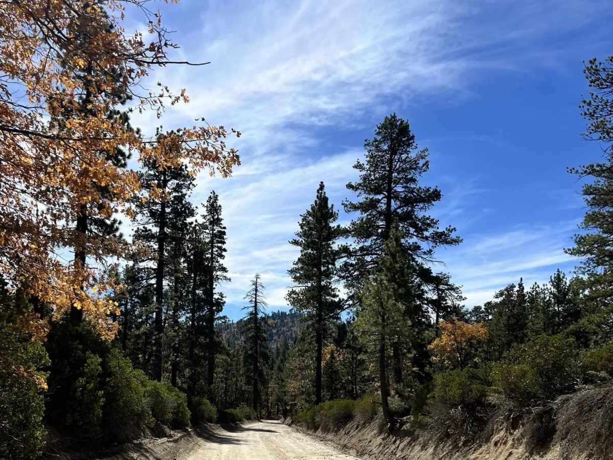 Coxey Road - FS 3N14 trail photo