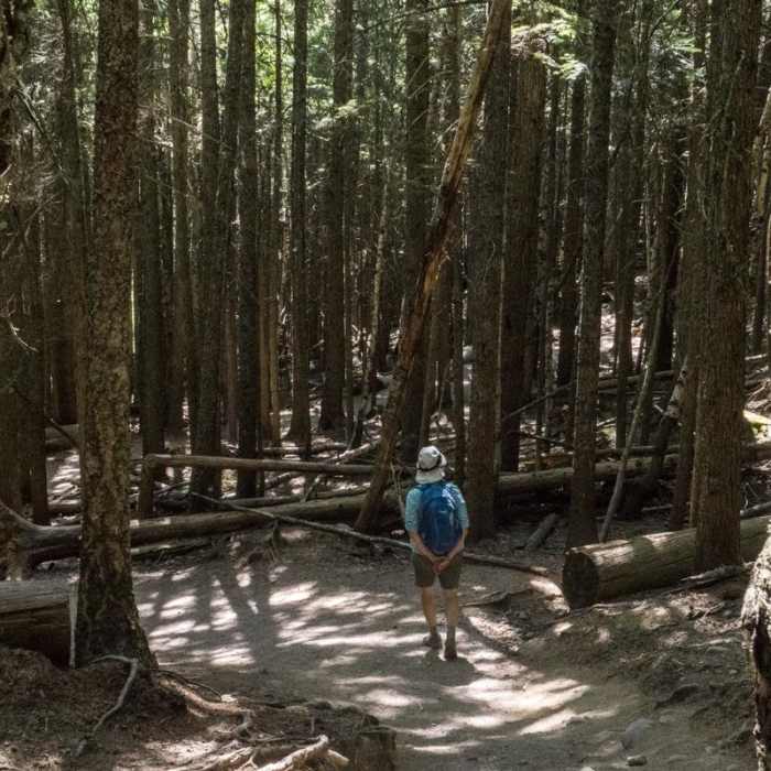 Near Avalanche Lake via Trail of the Cedars