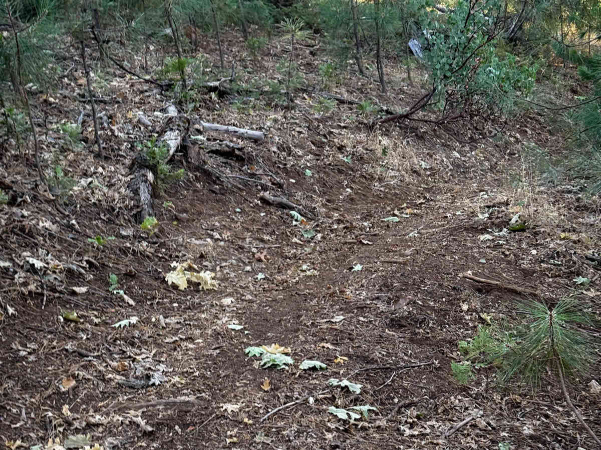 16EV251 trail photo