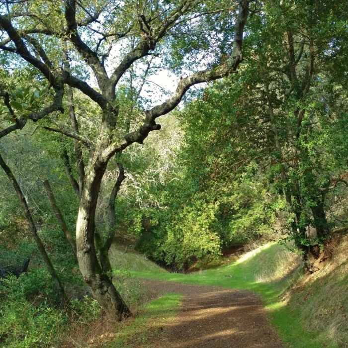 Near Figueroa Trail