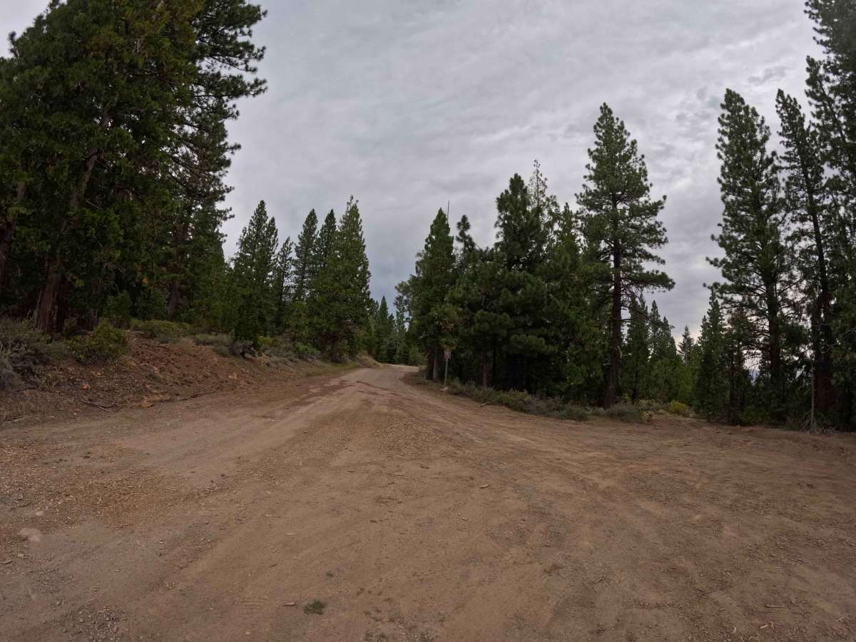 Chapman Calpine - FS 52 photo 2