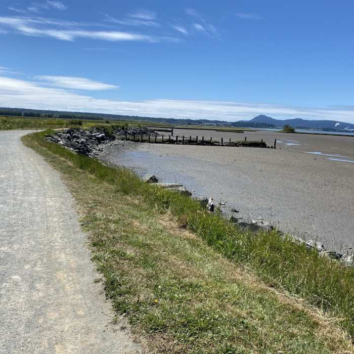 Nice flat walk Near Padilla Bay Shore Trail