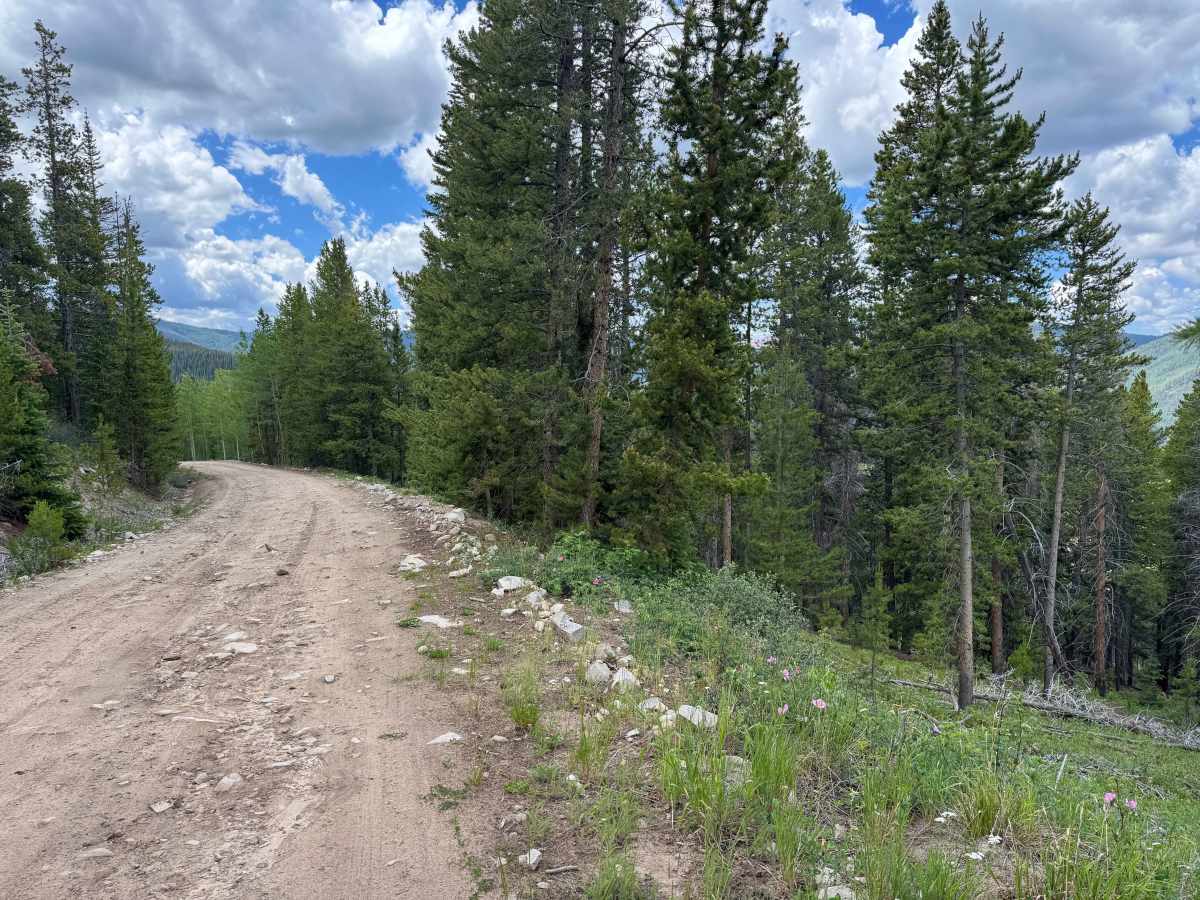 Nolan Creek Road - FS 418 photo 6