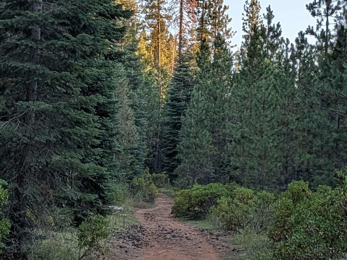 White Deer Lake East - FS 40N07A trail photo
