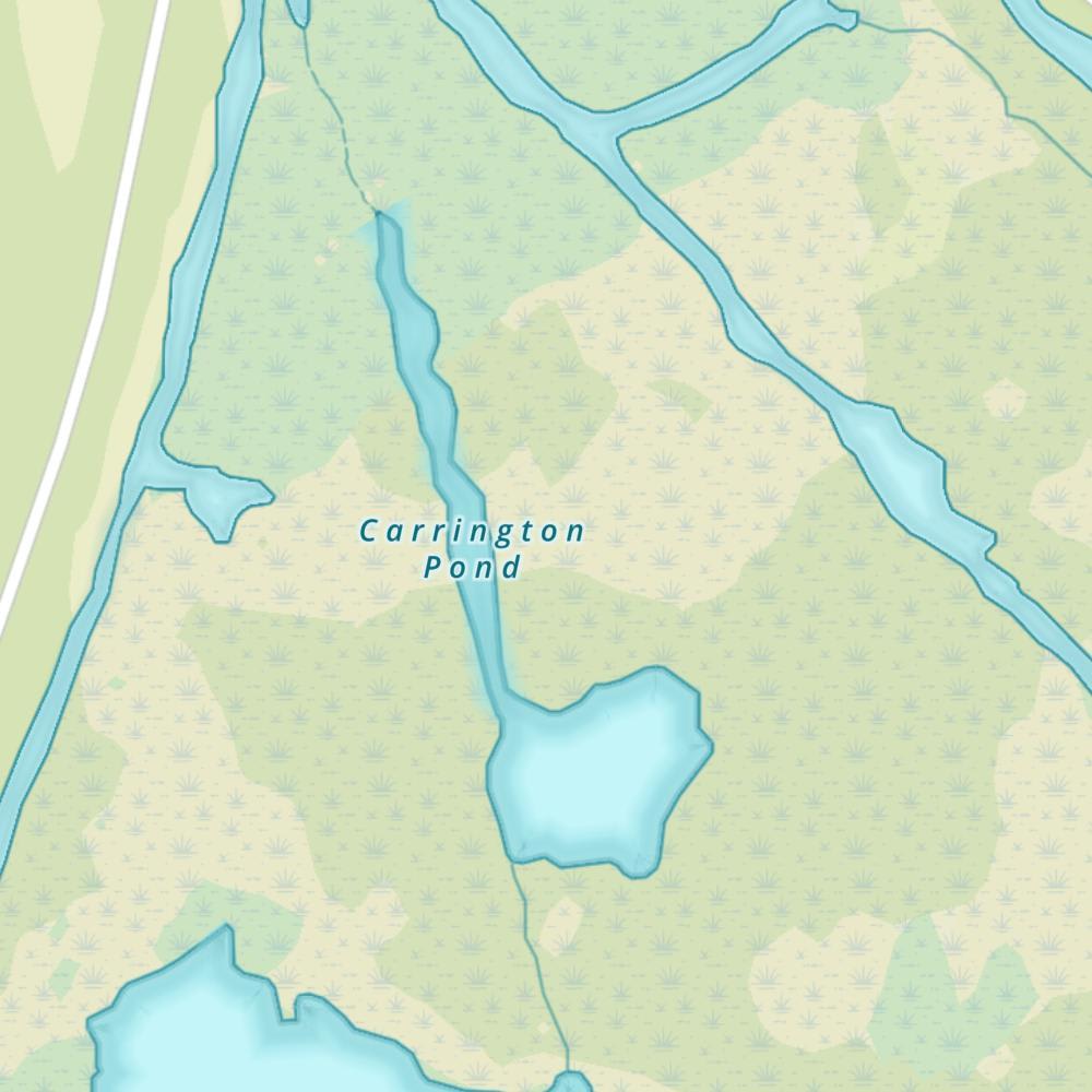 Carrington Pond