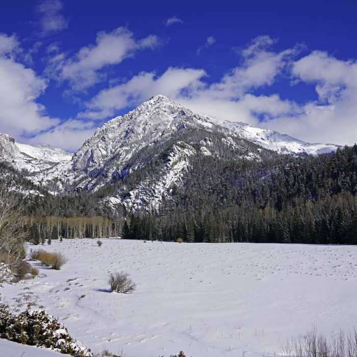 Near Willow Lake Trail