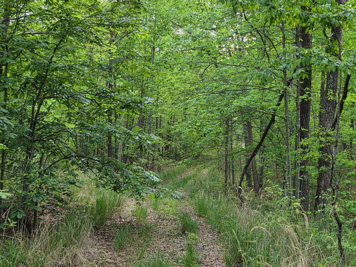 Big Bend Road photo 3