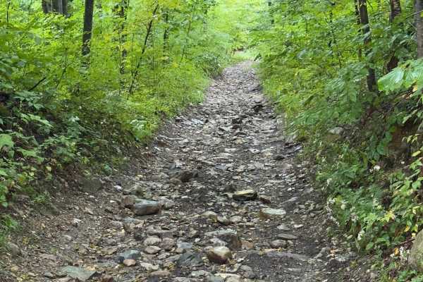 White Oak Road