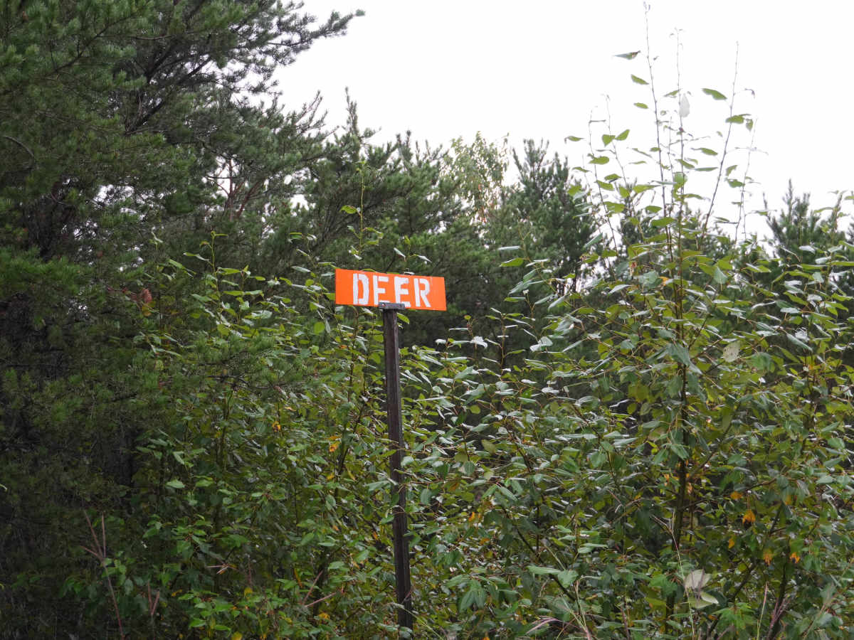 Deer Road photo 3