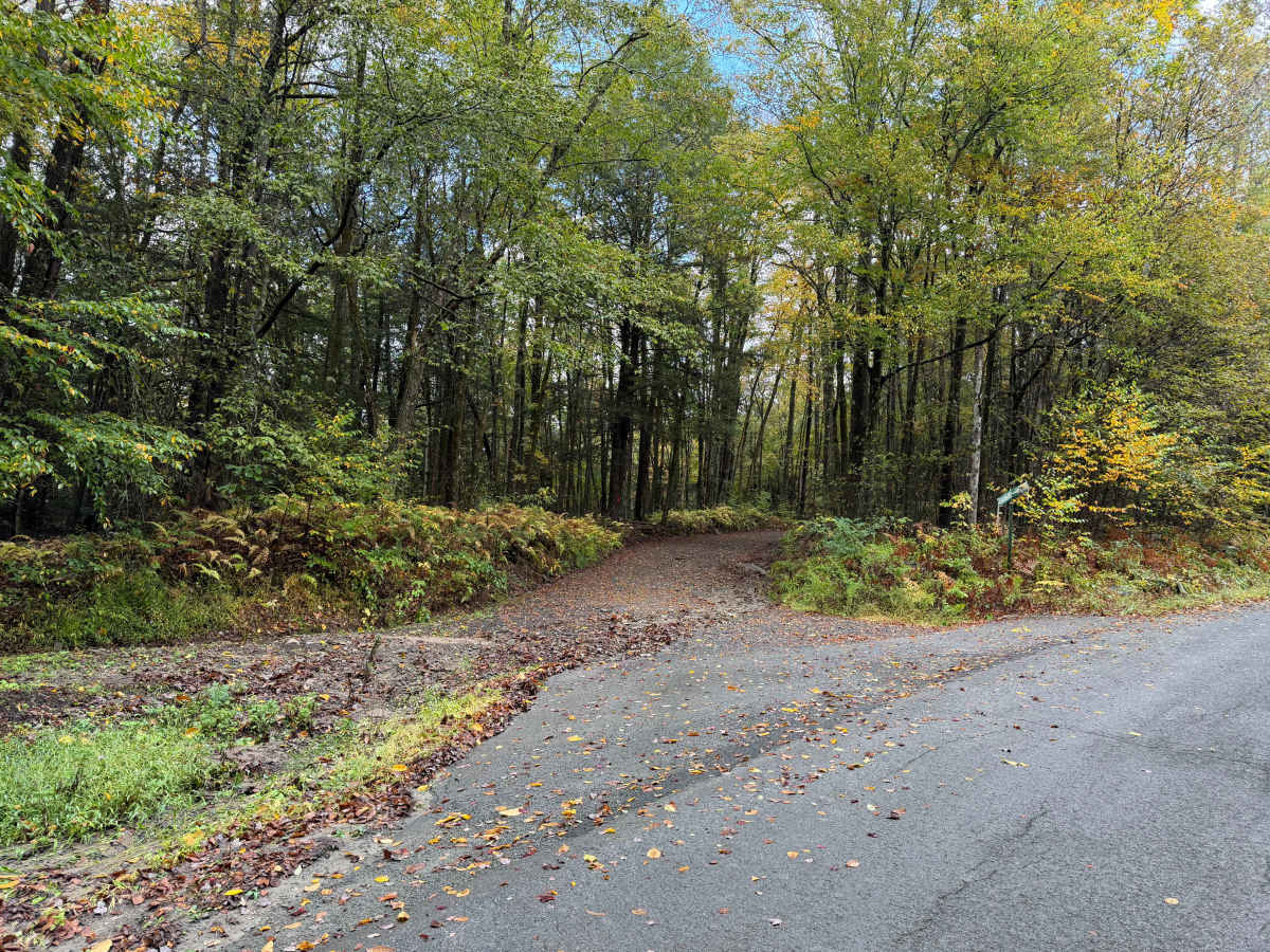 Johnston Road trail photo