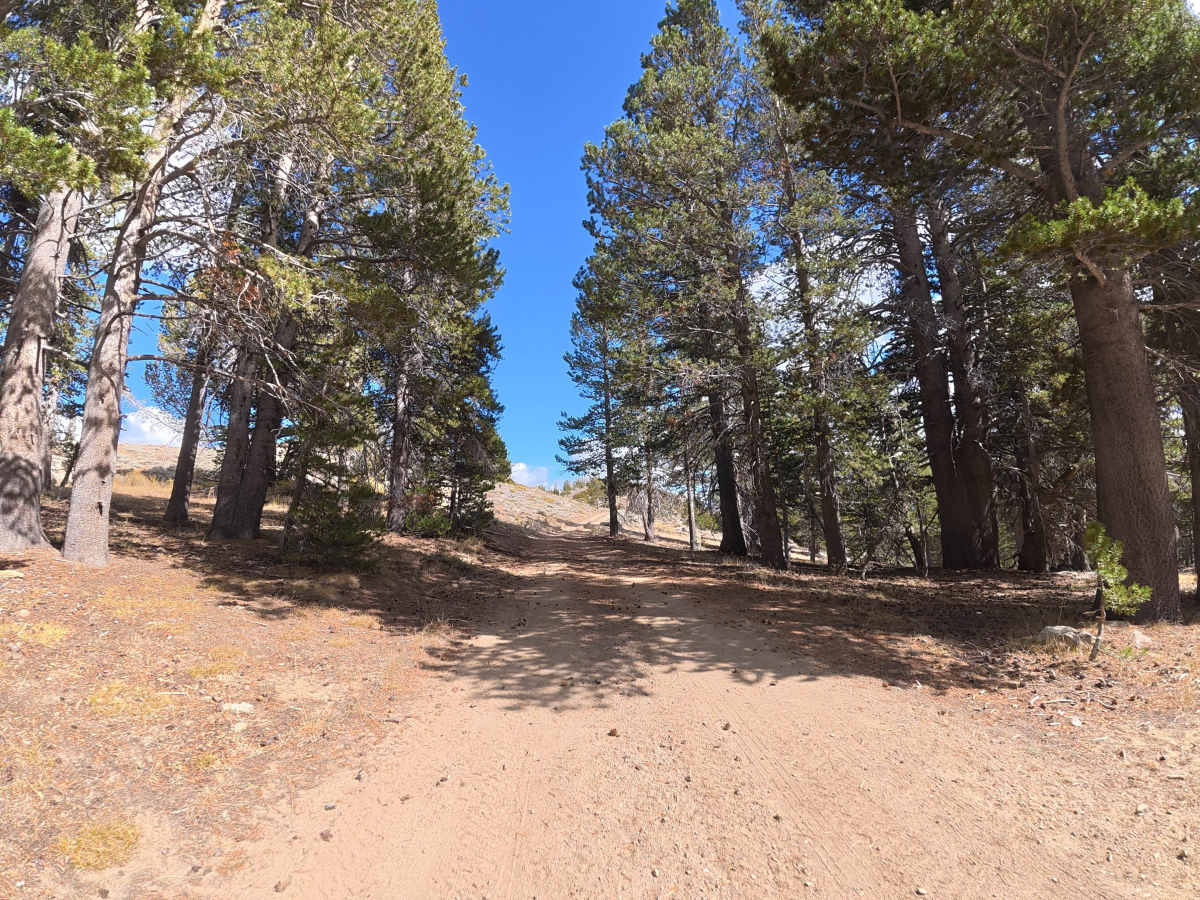 Spur Road J trail photo
