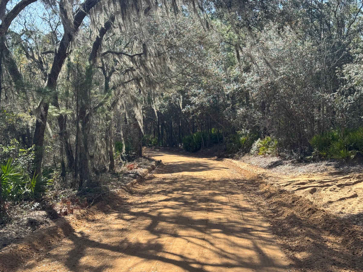 Middleton Lake Road photo 5