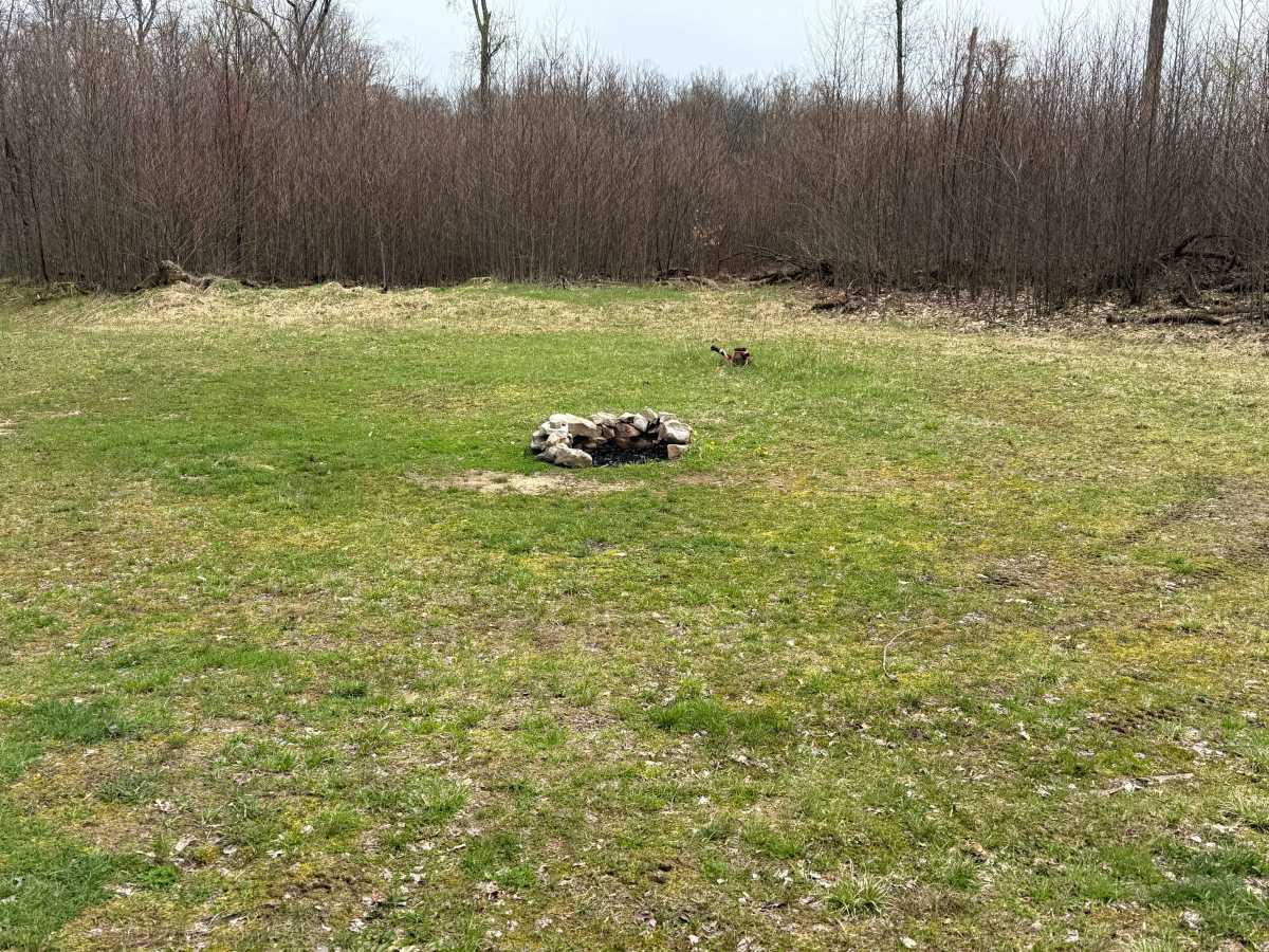 Morrison Run - FS 266 photo 5