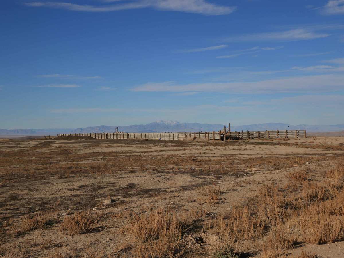 Clark Road photo 3