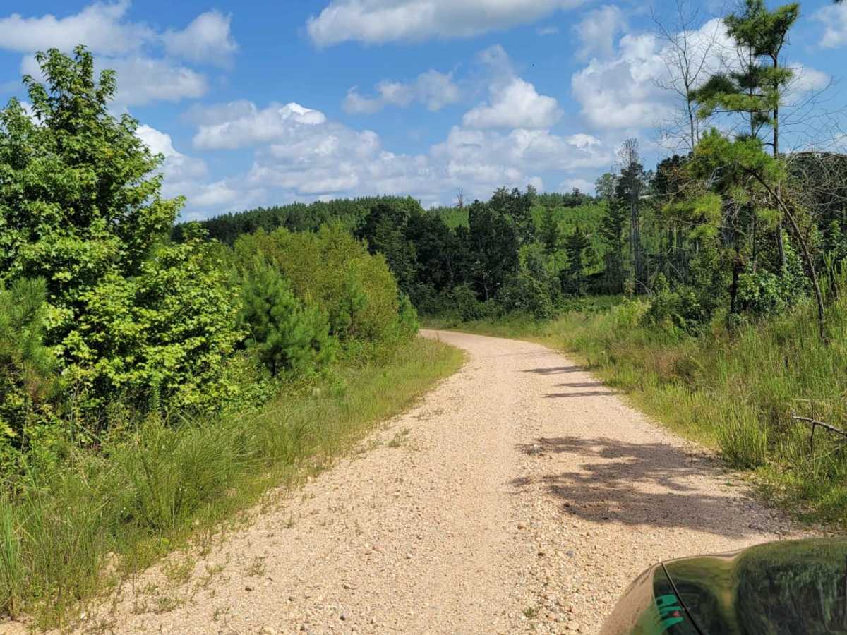 Road 263 to HWY342 trail photo