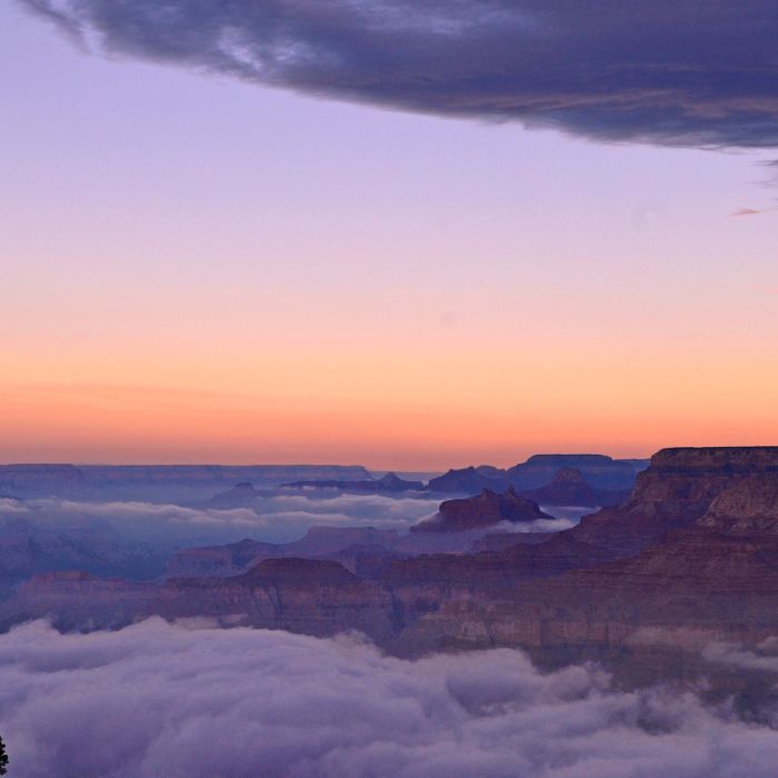 Near Desert View Point