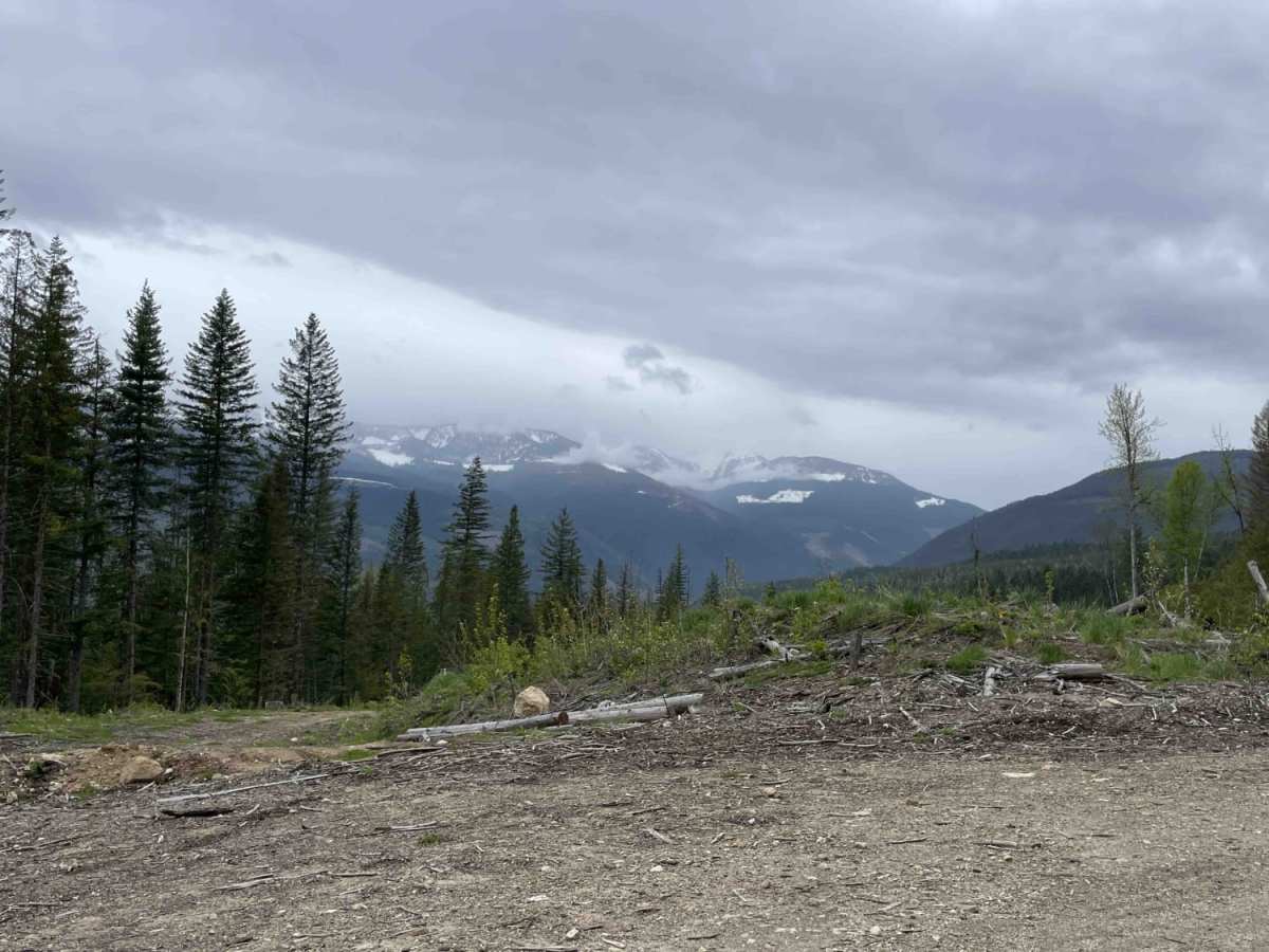 3 Valley Mabel Lake FSR Road to Kingfisher photo 3