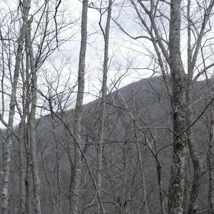 Near Curry Mountain Trail