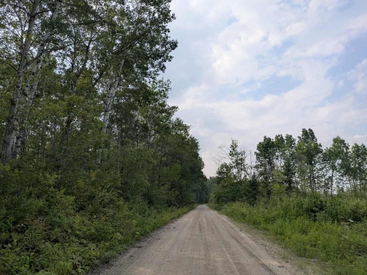 Sheep Ranch Road photo 3