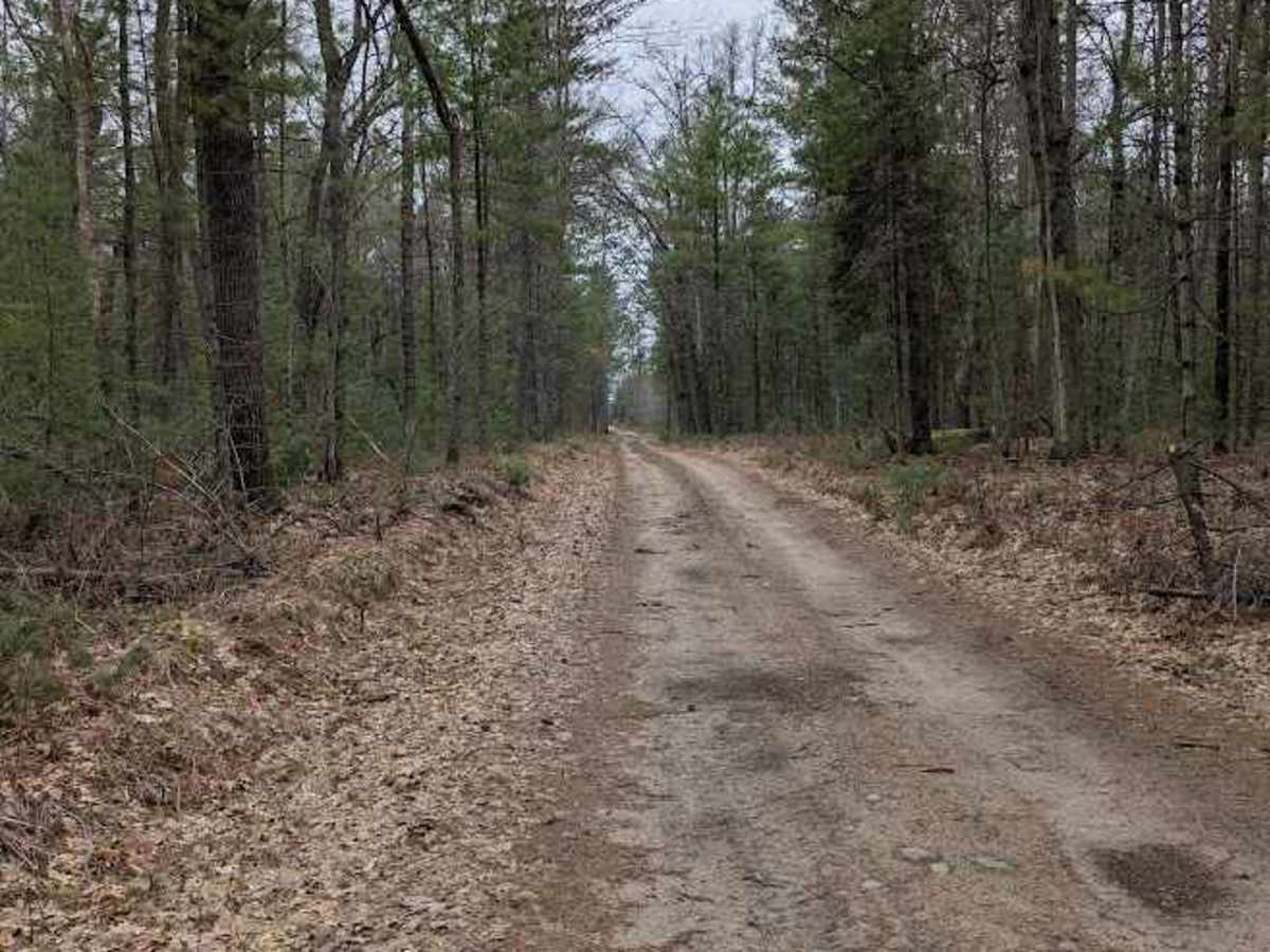Osceola Trail South photo 2