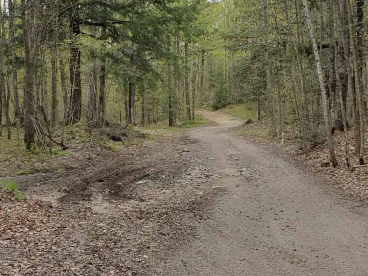 Pelcho Cut Across trail photo