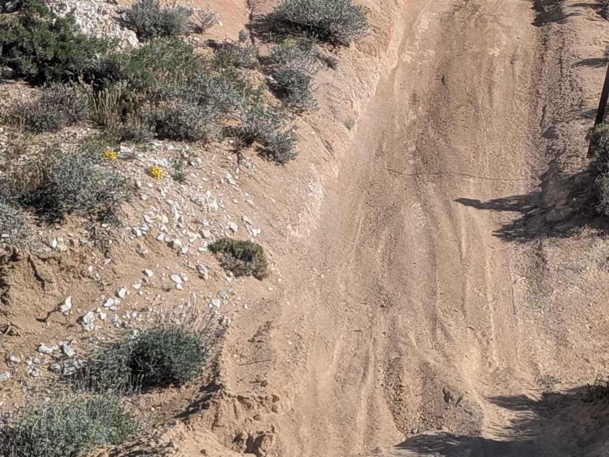BLM SC186 trail photo